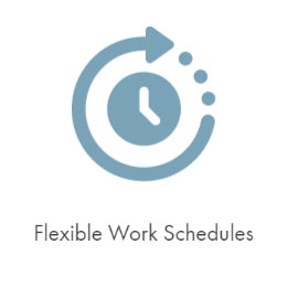 flexible schedules icon.jpg