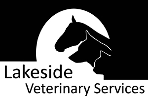 Lakeside Veterinary Services2.jpg